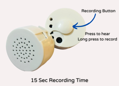 Voice recorder for custom plush dolls